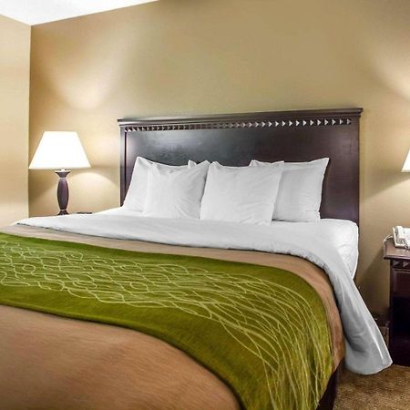 Comfort Inn Edison - New Brunswick Εξωτερικό φωτογραφία
